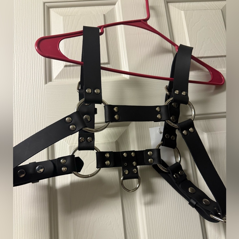 Funk Plus leather O Ring Harness